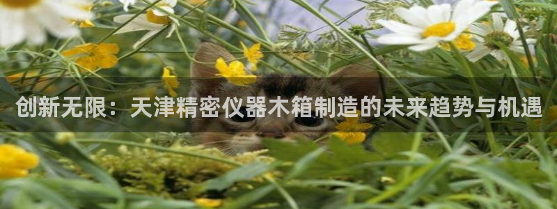 恒在5行中代表什么数字：创新无限：天津精密仪器木箱制造的未来