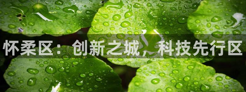 恒行登录就搜6ll5l：怀柔区：创新之城，科技先行区