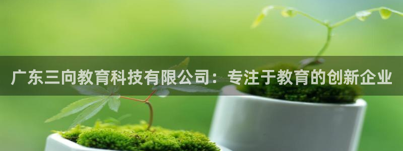 恒行2许74OOO5：广东三向教育科技有限公司：专注于教育的