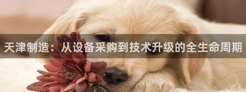 恒行2沈74OOO5：天津制造：从设备采购到技术升级的全生命