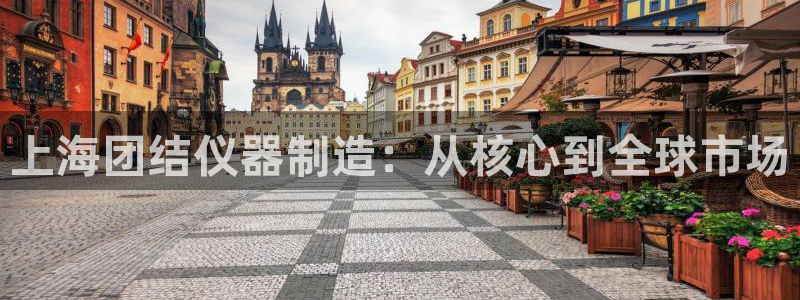 恒行招商老大诚挚 6ll5l：上海团结仪器制造：从核心到全球