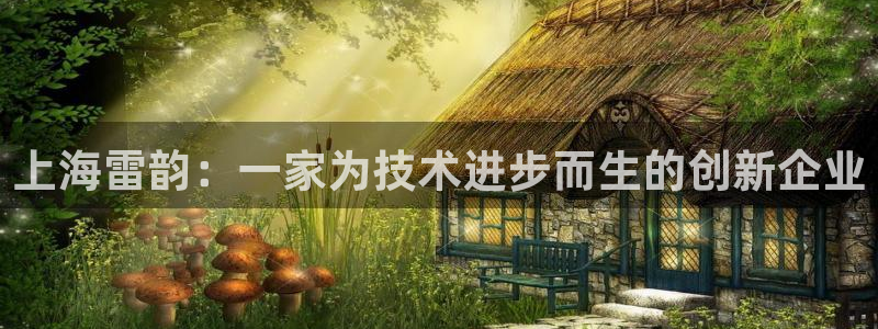 恒行娱乐掏沂74ooo5弛：上海雷韵：一家为技术进步而生的创