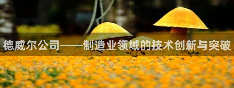 恒行娱乐5ll533主管正直：德威尔公司——制造业领域的技术