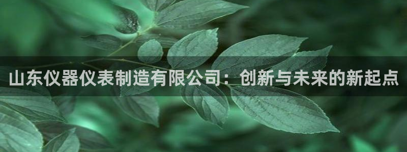 恒行娱乐5ll533主管正直：山东仪器仪表制造有限公司：创新