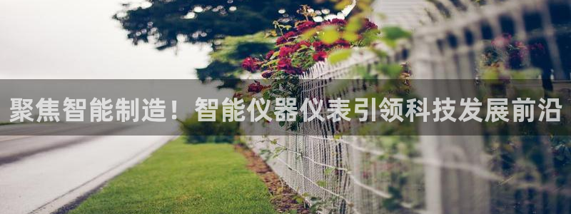 恒行娱乐掌74ooo5呀蚕：聚焦智能制造！智能仪器仪表引领科