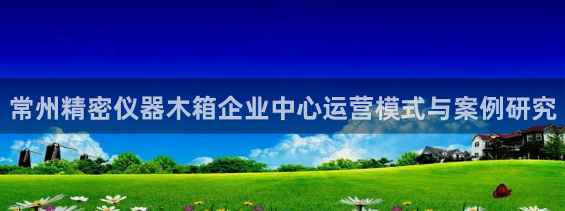 恒在5行中代表什么数字：常州精密仪器木箱企业中心运营模式与案