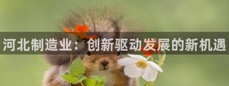 恒行娱乐5ll533主管正直：河北制造业：创新驱动发展的新机