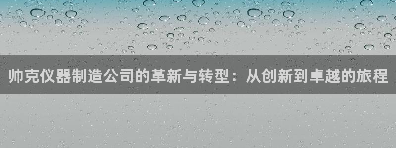 恒行娱乐登录5ll533主管一流：帅克仪器制造公司的革新与转