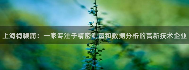 恒行娱乐郑74OOO5：上海梅颖浦：一家专注于精密测量和数据