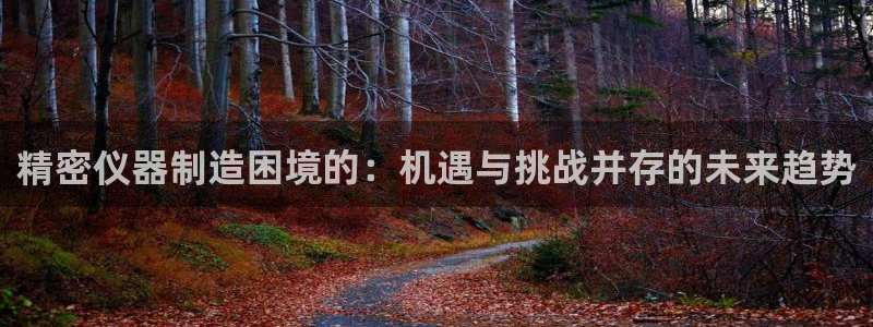 恒行娱乐吕74OOO5：精密仪器制造困境的：机遇与挑战并存的