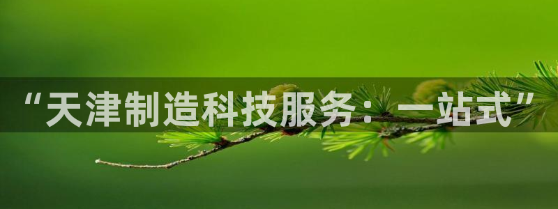 恒行2乃5O6917：“天津制造科技服务：一站式”