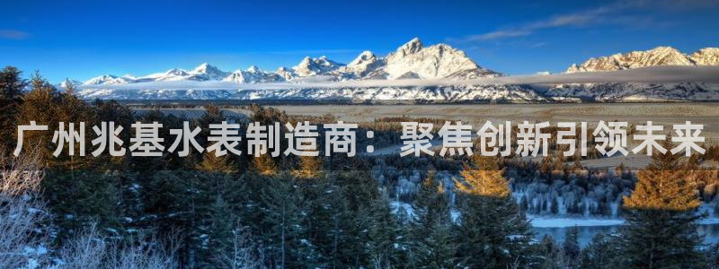 恒行2冯74OOO5：广州兆基水表制造商：聚焦创新引领未来