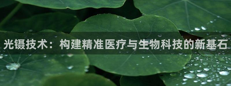 恒行2杨74OOO5：光镊技术：构建精准医疗与生物科技的新基