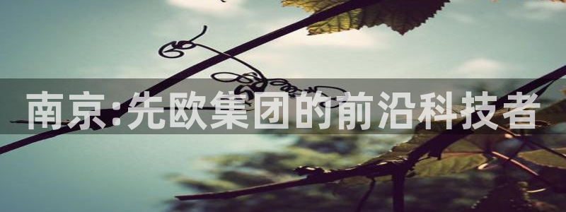 恒行2陈74OOO5：南京:先欧集团的前沿科技者