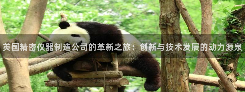 恒行娱乐热74ooo5主宰：英国精密仪器制造公司的革新之旅：