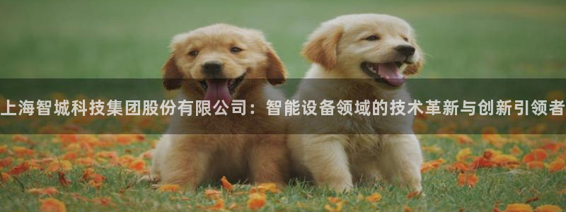 恒行娱乐见5ll533主管：上海智城科技集团股份有限公司：智