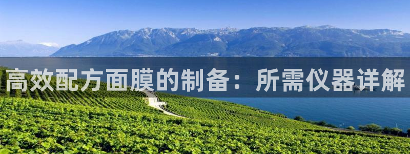 恒行娱乐老板推荐5ll533主管：高效配方面膜的制备：所需仪