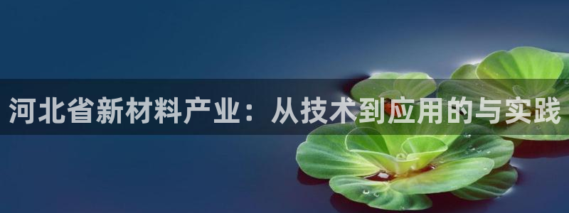 恒行娱乐见5ll533主管：河北省新材料产业：从技术到应用的