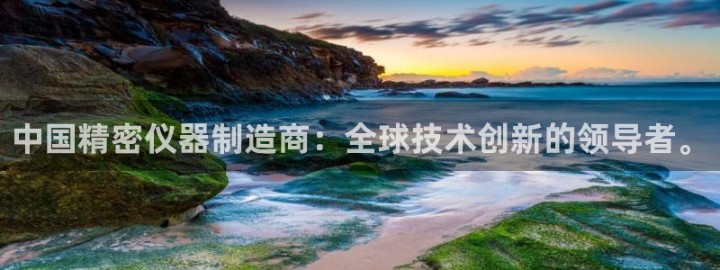 恒行招商老大诚挚 6ll5l：中国精密仪器制造商：全球技术创