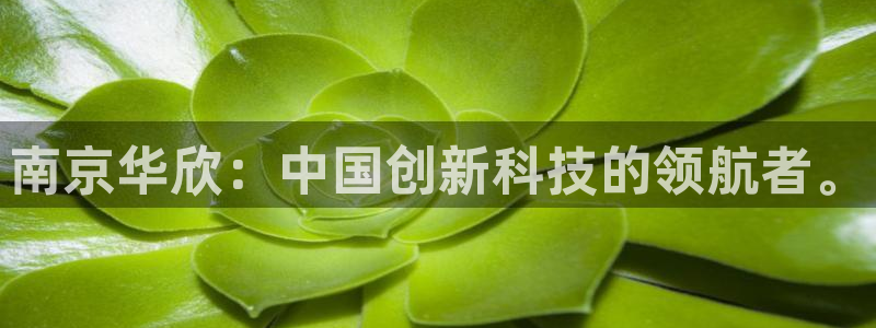 恒行招商老大诚挚 6ll5l：南京华欣：中国创新科技的领航者