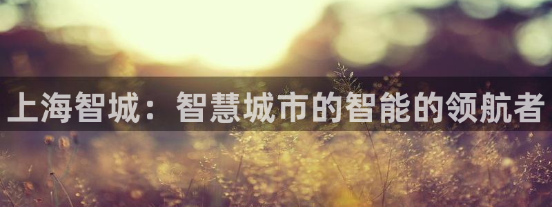 恒行开户全2O5o5O：上海智城：智慧城市的智能的领航者