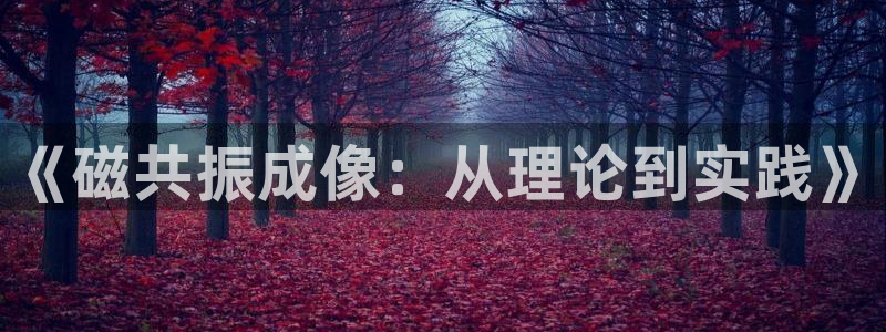 恒行娱乐郑74OOO5：《磁共振成像：从理论到实践》