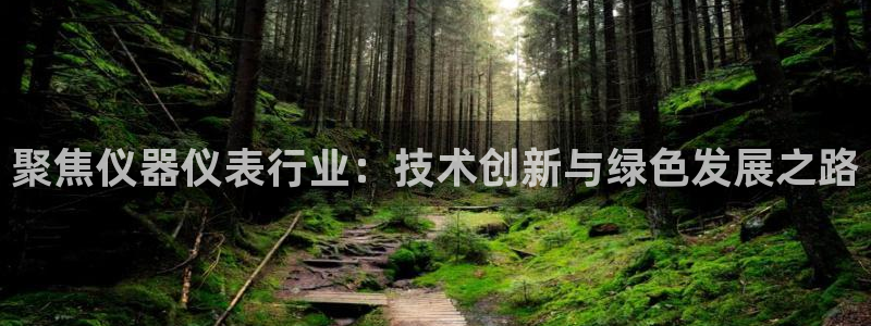 恒行娱乐掌74ooo5呀蚕：聚焦仪器仪表行业：技术创新与绿色