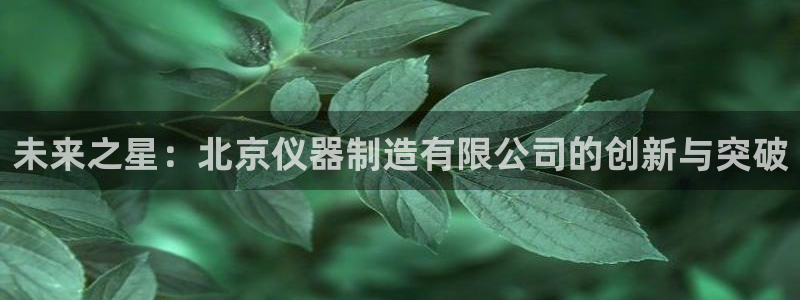 恒行2陈74OOO5：未来之星：北京仪器制造有限公司的创新与