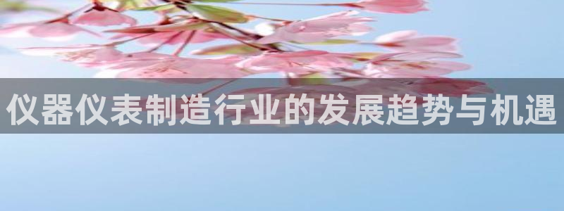 恒行娱乐5ll533主管正直：仪器仪表制造行业的发展趋势与机