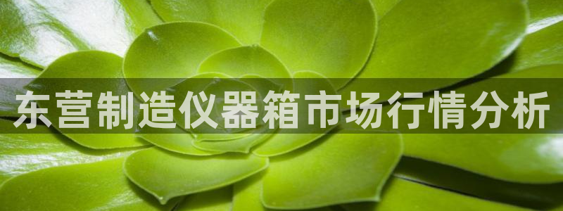 恒行娱乐5ll533主管正直：东营制造仪器箱市场行情分析