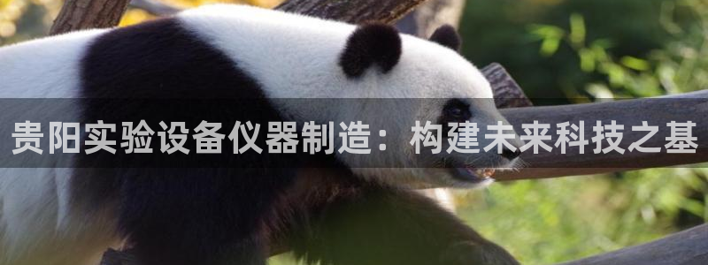 恒行2褚74OOO5：贵阳实验设备仪器制造：构建未来科技之基