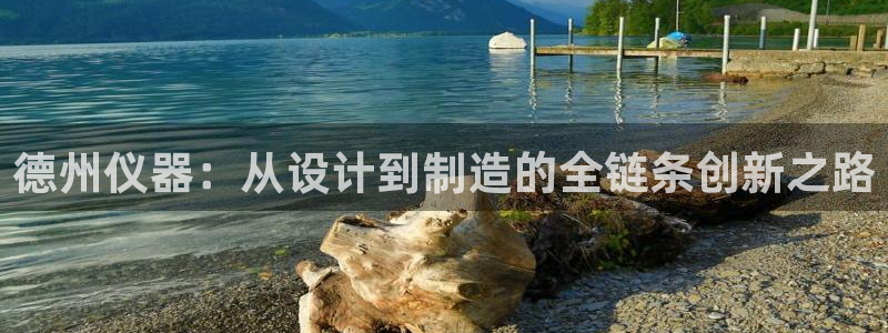 恒行登录老大6ll5l典型：德州仪器：从设计到制造的全链条创