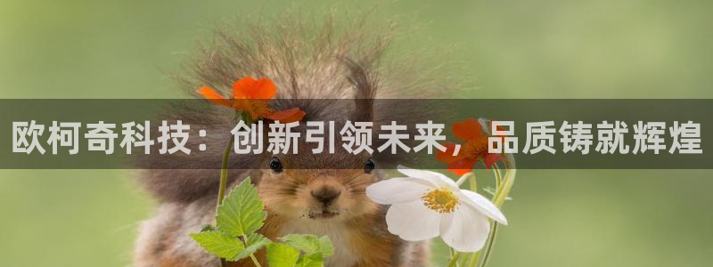 恒行5：欧柯奇科技：创新引领未来，品质铸就辉煌