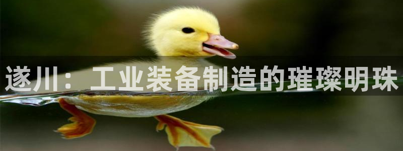 恒行娱乐5ll533主管正直：遂川：工业装备制造的璀璨明珠