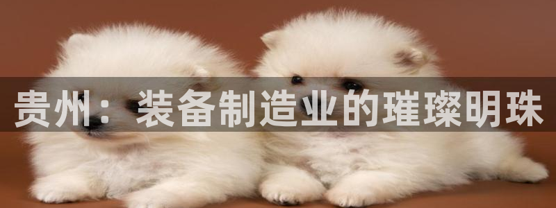 恒行2韩74OOO5：贵州：装备制造业的璀璨明珠