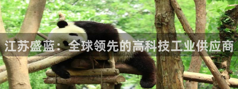 恒行2地74OOO5：江苏盛蓝：全球领先的高科技工业供应商