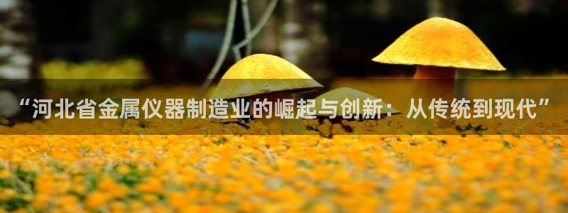 恒行娱乐蜗74ooo5指磁：“河北省金属仪器制造业的崛起与创