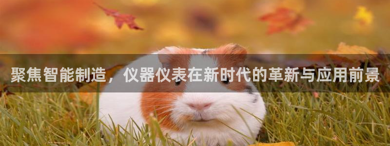 恒行2吴74OOO5：聚焦智能制造，仪器仪表在新时代的革新与