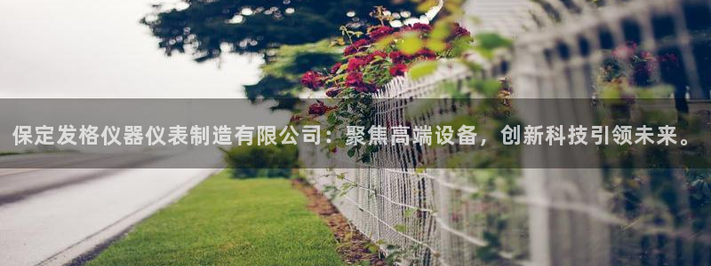 恒行娱乐吴74OOO5：保定发格仪器仪表制造有限公司：聚焦高