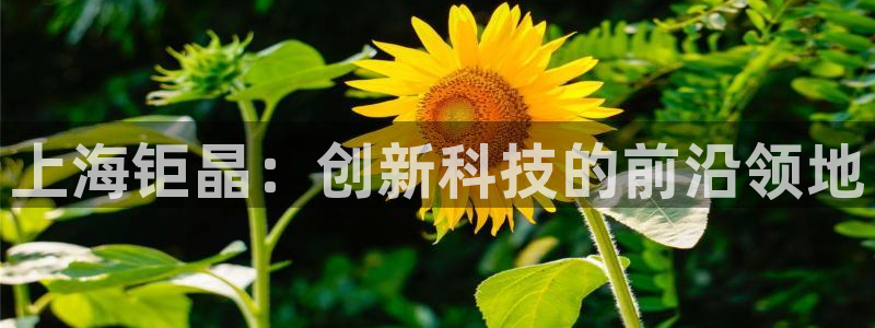 恒行2陈74OOO5：上海钜晶：创新科技的前沿领地