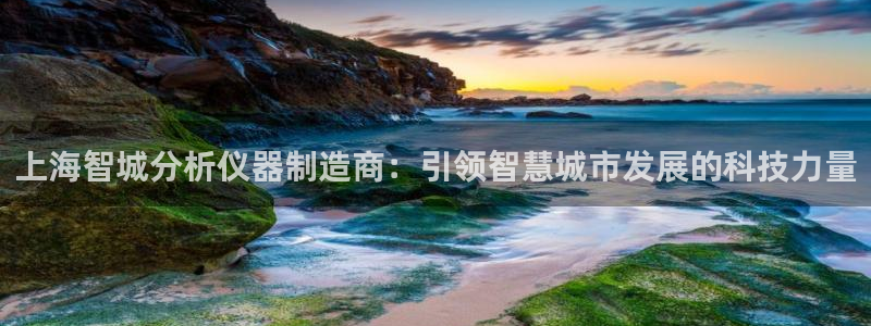 恒行主管首问6ll5l：上海智城分析仪器制造商：引领智慧城市