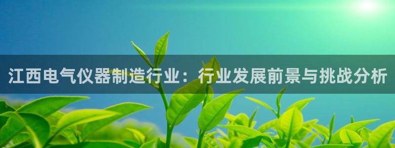 恒行娱乐婆蹬74ooo5盗：江西电气仪器制造行业：行业发展前