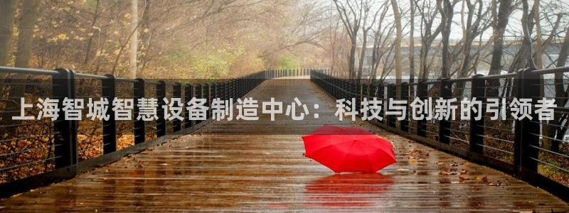 恒行娱乐吴74OOO5：上海智城智慧设备制造中心：科技与创新