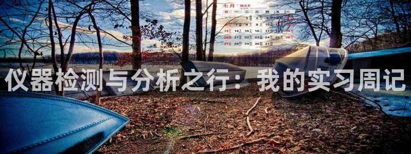 恒行2下74OO5：仪器检测与分析之行：我的实习周记