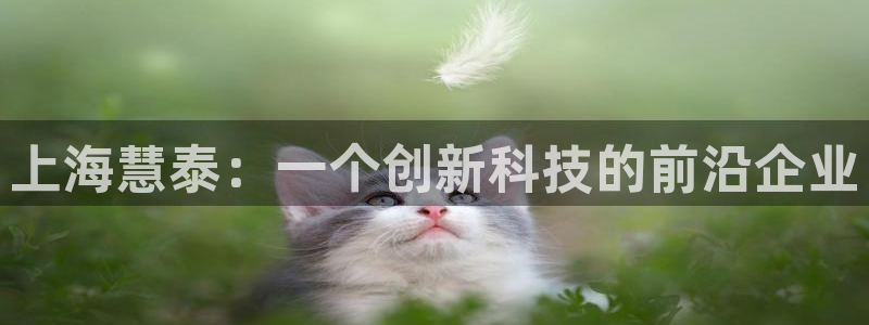 恒行娱乐婆蹬74ooo5盗：上海慧泰：一个创新科技的前沿企业