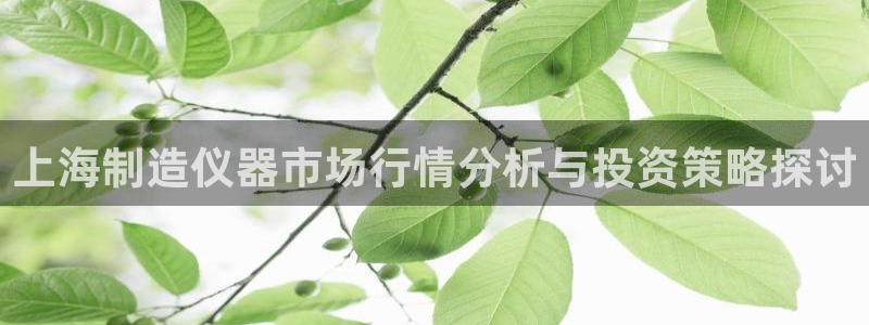 恒行2卫74OOO5：上海制造仪器市场行情分析与投资策略探讨