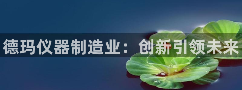 恒行2蒋74OOO5：德玛仪器制造业：创新引领未来