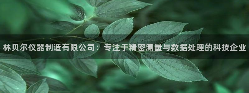 恒行开户娱乐赞议6ll5l：林贝尔仪器制造有限公司：专注于精