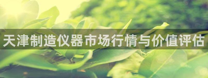 恒行娱乐蜗74ooo5指磁：天津制造仪器市场行情与价值评估