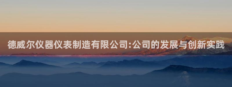 恒在5行中代表什么数字：德威尔仪器仪表制造有限公司:公司的发